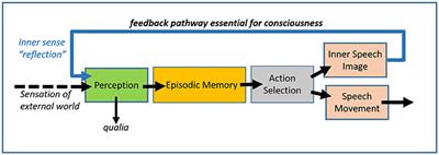Locke's View of the Hard Problem of Consciousness and Its Implications for Neuroscience and Computer Science